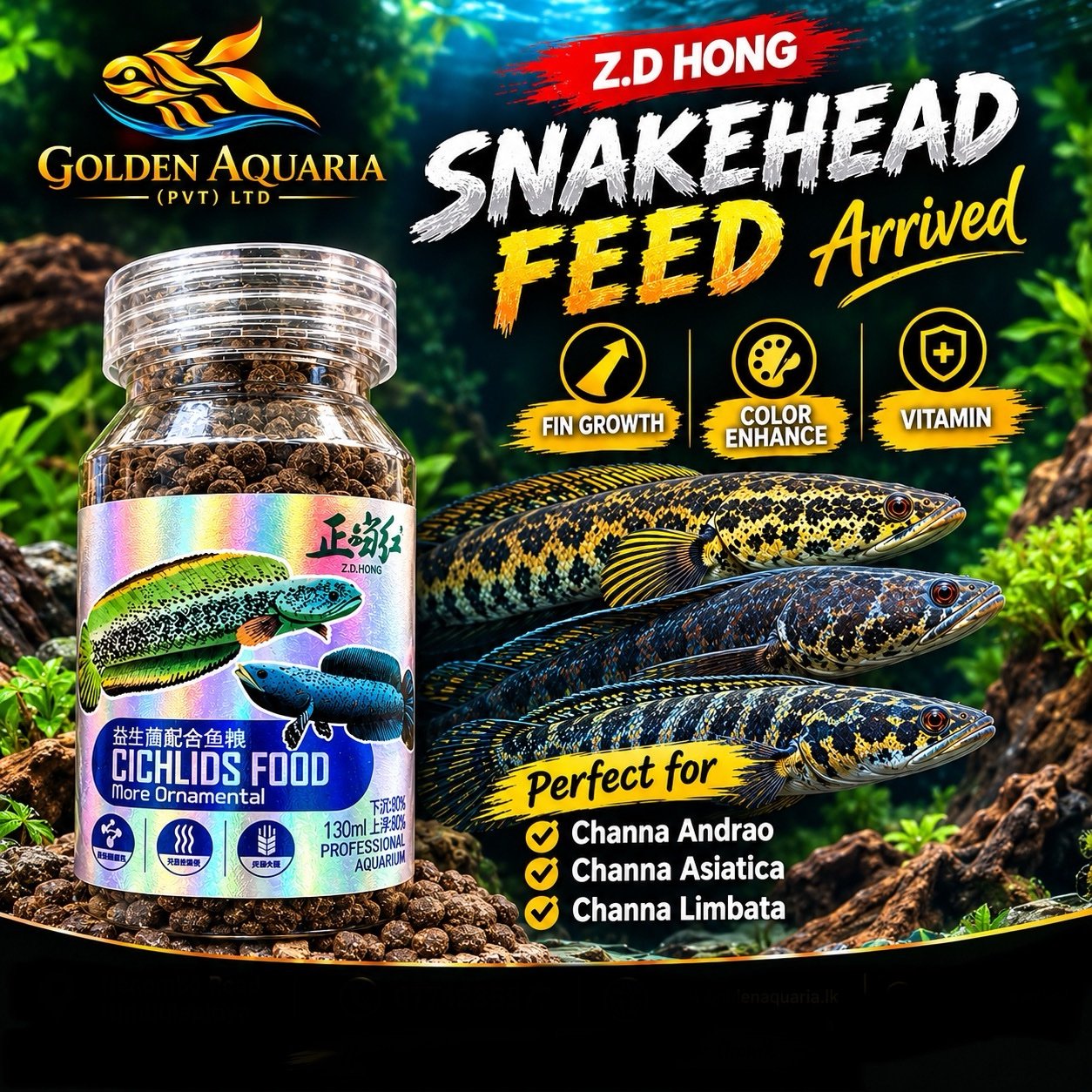 Z.D HONG Snakehead Feed 50g - Image 2