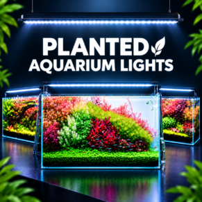 Planted Aquarium Lights