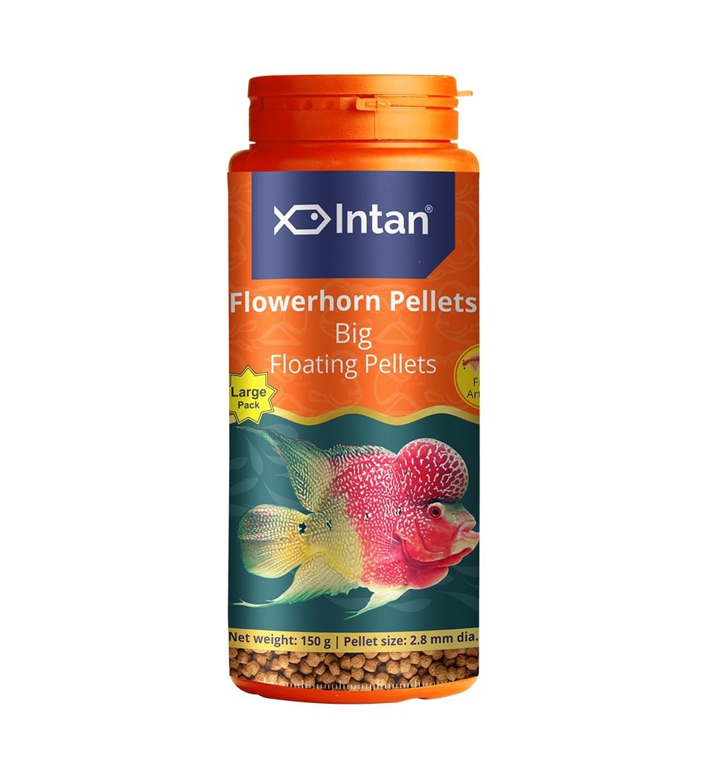 Intan Growel Flowerhorn Pellets 150g — Big