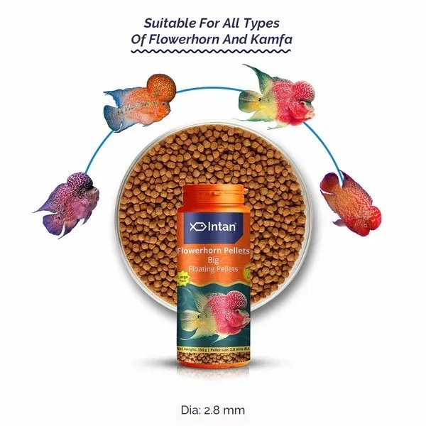 Intan Growel Flowerhorn Pellets 150g — Big - Image 2
