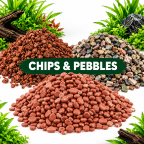 CHIPS & PEBBLES