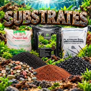 SUBSTRATES