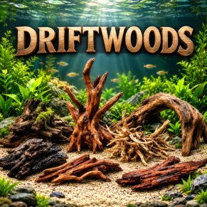DRIFTWOODS