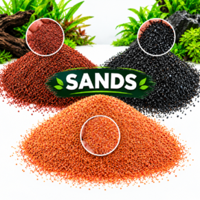 SANDS